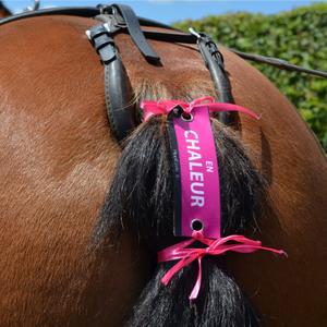 product/h/i/hippicode_700102-en-chaleur_rose_2.jpg
