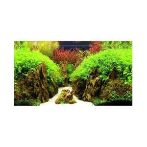 product/h/o/hobby_ho31017_vert_3.jpg
