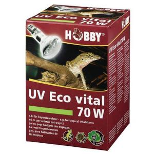 product/h/o/hobby_ho37319_blanc_2.jpg