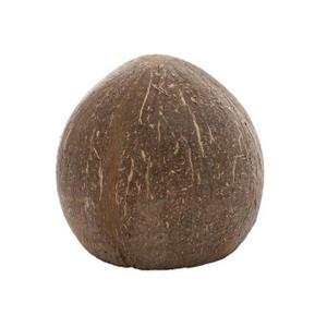 product/h/o/hobby_ho40215_marron_2.jpg