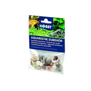 product/h/o/hobby_ho40221_multicolore_1.jpg