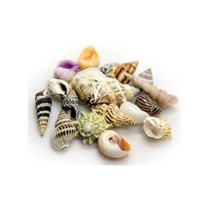 product/h/o/hobby_ho40221_multicolore_2.jpg