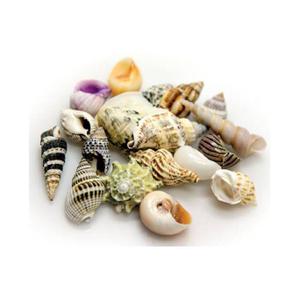 product/h/o/hobby_ho40224_multicolore_1.jpg