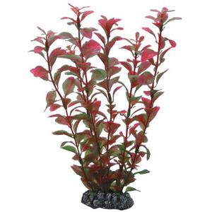 product/h/o/hobby_ho41516_rouge_1.jpg