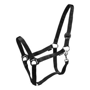 180185-2-licols-pour-cheval-horka-drew-noir