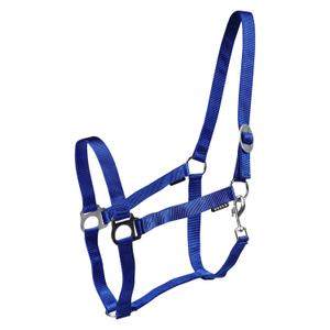 180185-55-licols-pour-cheval-horka-drew-royal-blue