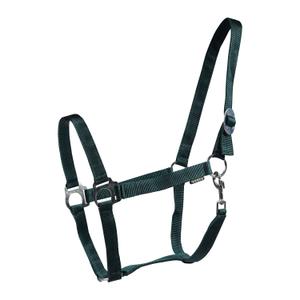 180185-7-licols-pour-cheval-horka-drew-vert
