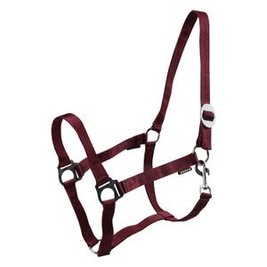180185-9-licols-pour-cheval-horka-drew-bordeaux
