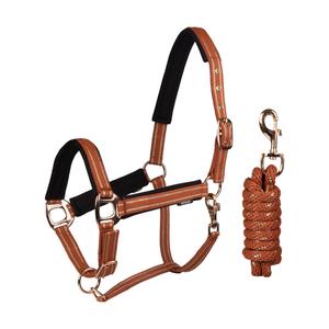 180191-307-ensemble-licol-et-longe-pour-cheval-horka-deluxe-ginger