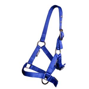 180194-19-licol-pour-cheval-poulain-horka-cobalt