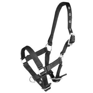 180194-2-licol-pour-cheval-poulain-horka-noir