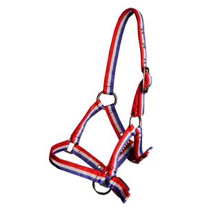 180194-602-licol-pour-cheval-poulain-horka-bleu-blanc-rouge