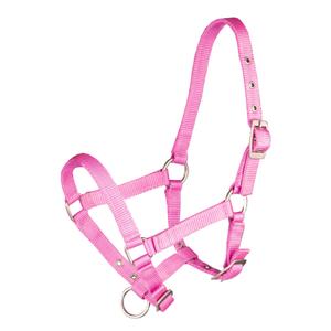 180194-605-licol-pour-cheval-poulain-horka-hot-pink