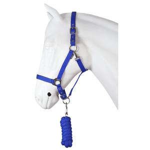 180214-223-ensemble-licol-pour-cheval-dime-horka-summer-blue
