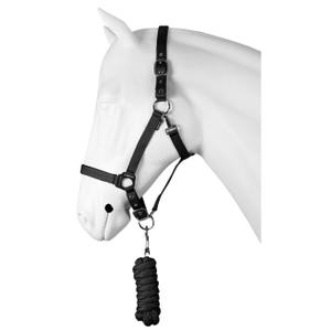 180214-2-ensemble-licol-pour-cheval-dime-horka-noir