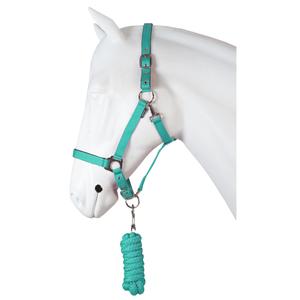 180214-345-ensemble-licol-pour-cheval-dime-horka-baltic