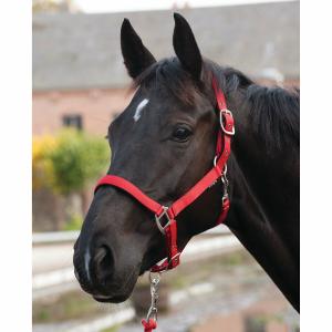 41012004-licol-pour-cheval-horseguard-lea-red