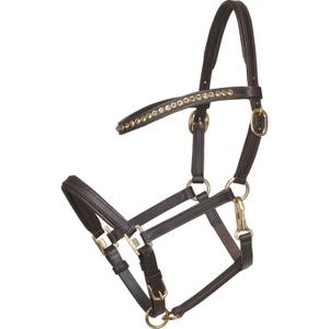 product/h/o/horseguard_500030502.jpg