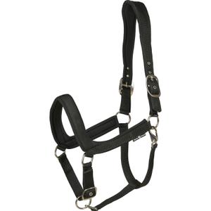 product/h/o/horseguard_500202001_1.jpg