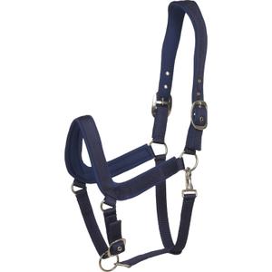 500202014-licol-pour-cheval-anatomique-horseguard-navy