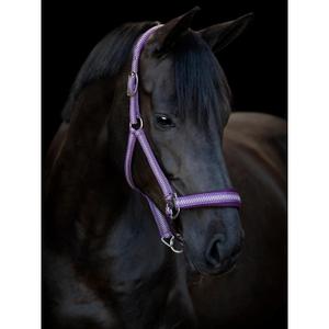 product/h/o/horseguard_50043200107_italian-plum_3.jpg
