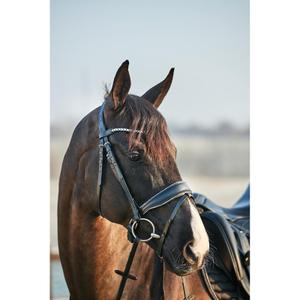 product/h/o/horseguard_504023002_brown_4.jpg