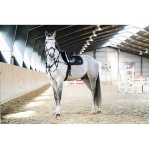 product/h/o/horseguard_504034001_black_2.jpg