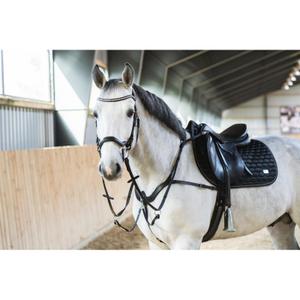product/h/o/horseguard_504034001_black_5.jpg