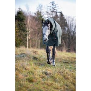 product/h/o/horseguard_504246597_darkest-spruce_5.jpg