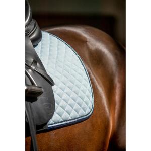 product/h/o/horseguard_50486060111_zen-blue_2.jpg