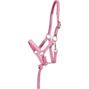 product/h/o/horseguard_504981163_rose_1.jpg