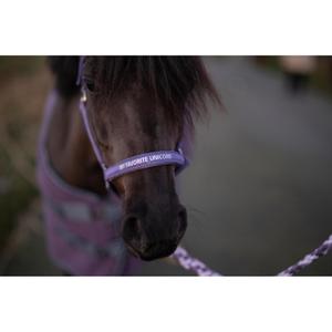 product/h/o/horseguard_50499011837_montana-grape_2.jpg