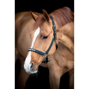 product/h/o/horseguard_504992001_black_2.jpg