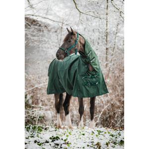 product/h/o/horseguard_505251597_darkest-spruce_2.jpg