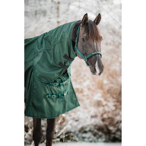 product/h/o/horseguard_505251597_darkest-spruce_3.jpg