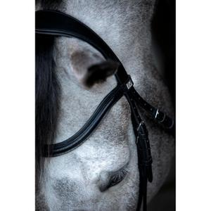 product/h/o/horseguard_505500201_black_3.jpg