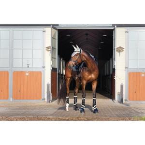 product/h/o/horseguard_52034_2.jpg