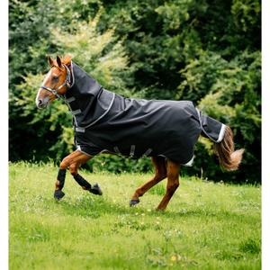 product/h/o/horseware_aaax03-kjji-66_black-thunderstorm-grey-silver_1.jpg