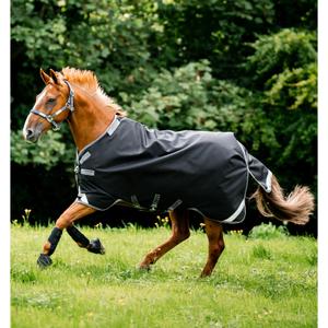 product/h/o/horseware_aaeal1-kjji-66_black-thunderstorm-grey-silver_3.jpg