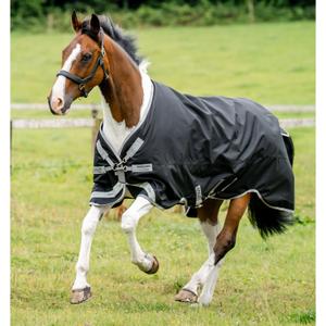 product/h/o/horseware_aarg04-kji0-69_black-titanium-grey-silver_1.jpg