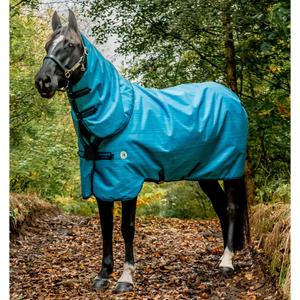 aarpl3-dbc0-couverture-d-exterieur-pour-cheval-horseware-amigo-hero-900-revive-plus-200g-oceanblue-bleu