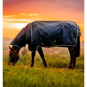 product/h/o/horseware_aarqg2-vrkb-45_witney-navy_1.jpg