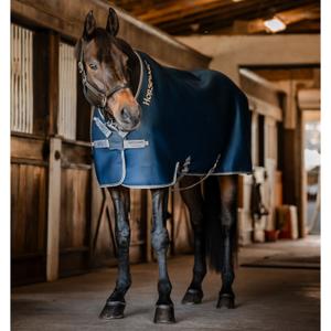 acat74-bjji-60-couverture-d-exterieur-pour-cheval-horseware-rambo-airmax-navy-thunderstorm-grey-silver