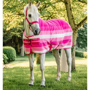 product/h/o/horseware_achgbn-vrkz-51_witney-pink_1.jpg