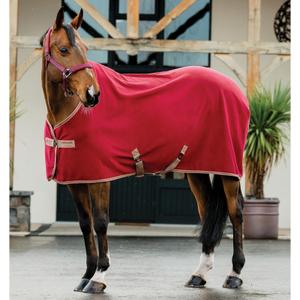 product/h/o/horseware_acrfb0-rm00-66_mulberry-taupe_1.jpg