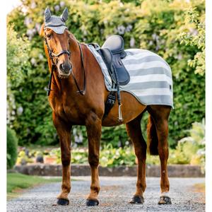 aehrrn-vrkj-xl-couvre-reins-pour-cheval-horseware-newmarket-witney-charcoal