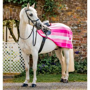 aehrrn-vrkz-la-couvre-reins-pour-cheval-horseware-newmarket-witney-pink