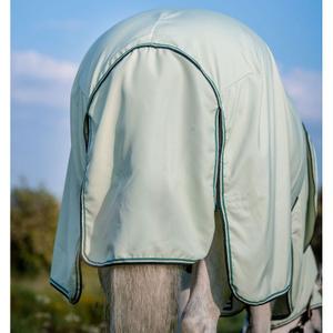 product/h/o/horseware_afapg0-gfmg_4.jpg