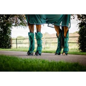 product/h/o/horseware_ddhtm0-h000-co_hunter-green_2.jpg
