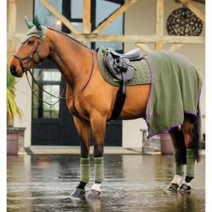 product/h/o/horseware_dera01-ggg0-ch_bramble_3.jpg